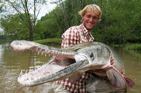 Kostlín obrovský, aligátoí ryba, ulovena v Texasu 2007