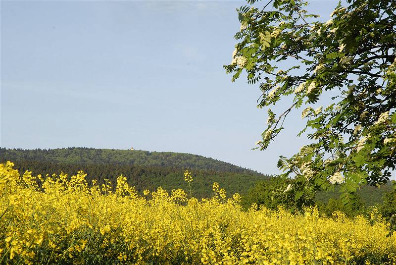 Pohled na vrchol erchova od Pece