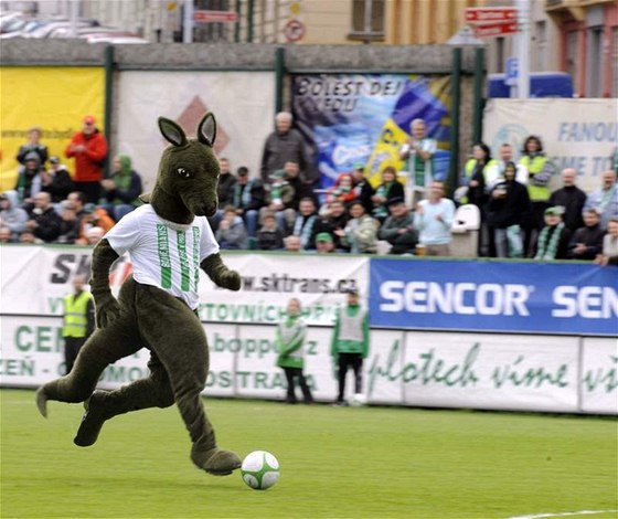 Na zápasu Bohemians 1905 B by neml scházet ani populární maskot klokan.