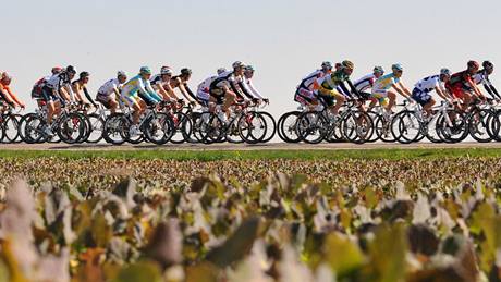 Peloton cyklistů projíždí kolem pole poblíž města Meerssen na trati závodu Amstel Gold Race. Peloton cyklistů projíždí kolem pole poblíž města Meerssen na trati závodu Amstel Gold Race.