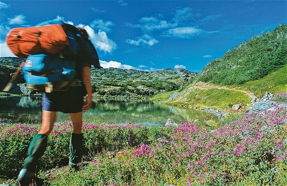 Aljaka, Chilkoot Trail. Rozkvetlé louky na kanadské stran túry