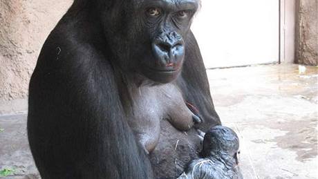 Kijivu s erstvým miminkem jako spokojená matka (duben 2010)