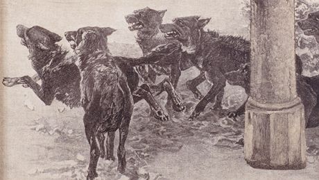 Toyen: Bez názvu (1936 či 1940) Toyen: Bez názvu (1936 či 1940)