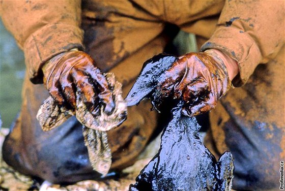 1989 - záchrana zvíat po havárii tankeru Exxon Valdez u pobeí Aljaky.