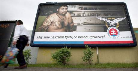 Pedvolební bilboard SNS (kvten 2010)