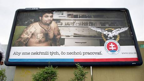 Pedvolebn bilboard SNS (kvten 2010)