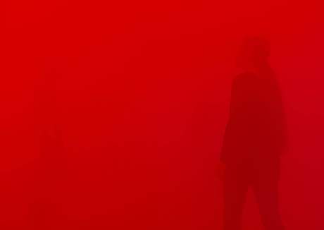 Olafur Eliasson:  Tvj pohyb naslepo, 2010; Zivky, hlink, ocel, stroj na mlhu, devo, flie 