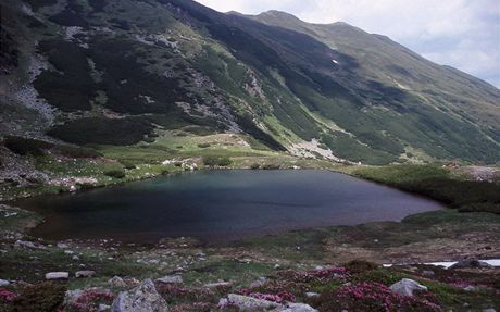 Rumunsko, jezero Lacurile lala Mare