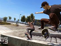 Skate 3