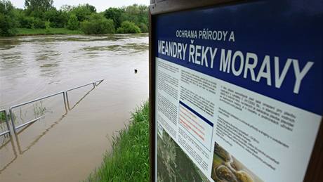 Rozvodnná Morava v Rohatci na Hodonínsku.