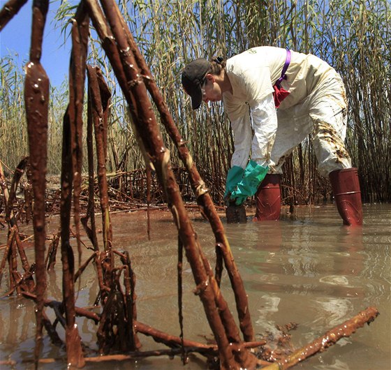 lenka organizace Greenpeace Lindsey Allenová sbírá vzorky vody zneitné ropou v delt eky Mississippi (19. kvtna)