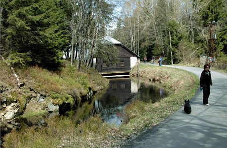 umava, podl Vchynicko-tetovskho kanlu