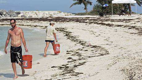 Odborníci sbírají vzorky písku a vody na floridských pláích, brzy by sem mla dorazit ropná skvrna.