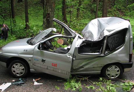 Mezi Drozdovem na umpersku a Zbehem spadl dub na auto. idi byl vn zrann, spolujezdkyn nehodu nepeila. (31. kvtna 2010)