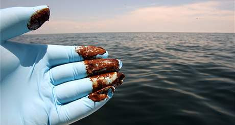 Únik ropy v Mexickém zálivu, na snímku moe u Alabamy (2. ervna 2010)