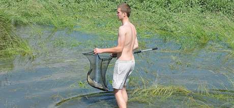V zatopench lagunch nedaleko Uheric mladci lov uvzl ryby.