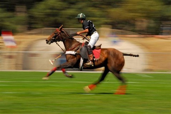 Tradice turnaj pola v parku Hurlingham sahá a do 40. let 20. století.