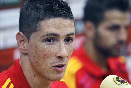 Fernando Torres nebude v základní sestav panlska v zápase MS proti výcarsku. ekl to trenér del Bosque.