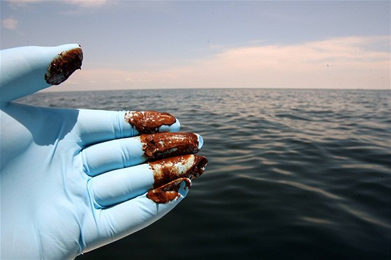 Únik ropy v Mexickém zálivu, na snímku moe u Alabamy (2. ervna 2010)