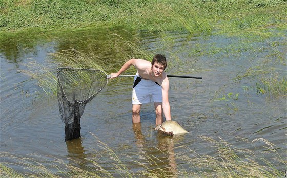 V zatopených lagunách nedaleko Uheric mladíci loví uvízlé ryby.