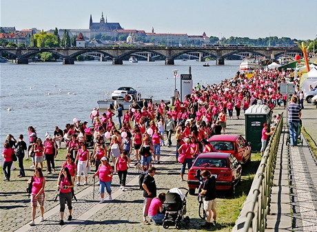 Pochod proti rakovin prsu 2010 (5.ervna 2010) 