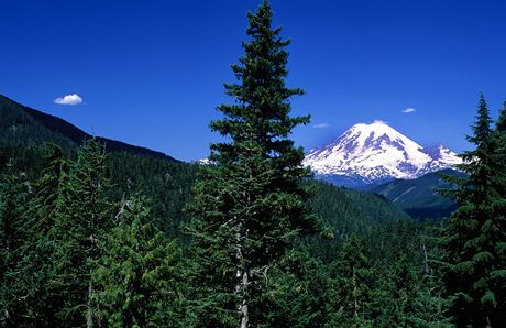 USA, Mount Rainier