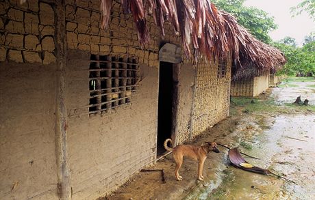 Amazonie, vesnice indin Yanomami