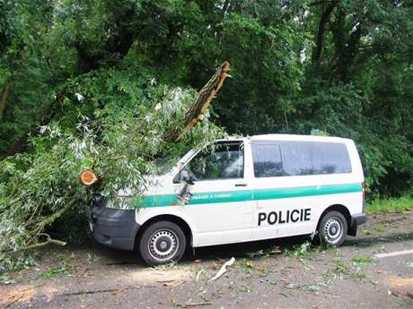 V Lanhot na Beclavsku spadl na policejní vz strom. Policistka skonila v nemocnici.