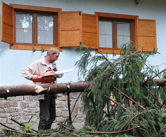 Kalamita po sobotní boui, chatová oblast v Jedovnicích (14. erven 2010)