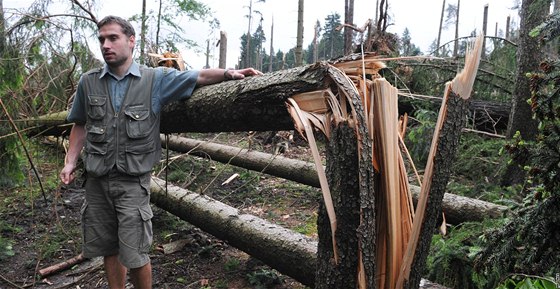 Kalamita po sobotní boui na jiní Morav (14. erven 2010)