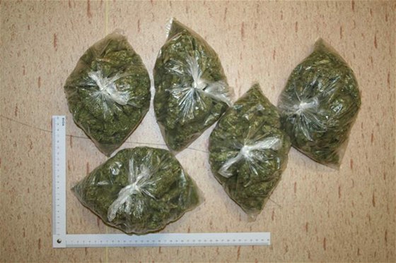 Policie zadrela 21 paerák marihuany. Ilustraní foto