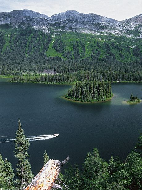 Azouzetta Lake - mezi Prince George a Dawson Creek