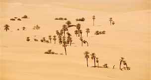 Desertifikace Sahary stále pokrauje