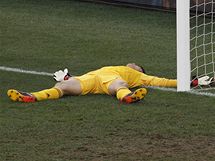 PEKONN. Japonsk brank Eiji Kawashima zklaman le na trvnku pot, co dostal branku od NIzozemska.