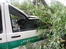 V lanhot na Beclavsku spadl na policejn vz strom. Policistka skonila v nemocnici