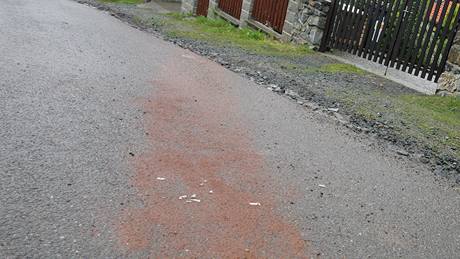 Vrah zastřelil v Brně expolicistu z kauzy soudce Berky. Na snímku stopy krve zasypané pískem na ulici Prokopův kopec (16.6.2010) Vrah zastřelil v Brně expolicistu z kauzy soudce Berky. Na snímku stopy krve zasypané pískem na ulici Prokopův kopec (16.6.2010)