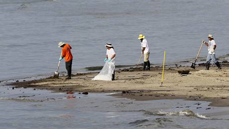 Pracovníci istí plá od ropné skvrny na pobeí Grand Isle. (14. ervna 2010)