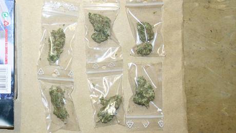 Marihuanu nali detektivové pi domovní prohlídce. Ilustraní foto