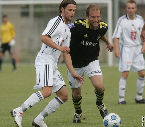 Z pátelského duelu Hradec Králové - AIK Stockholm. Domácí Radek Dorotík (vlevo) a Goran Ljubojevic.