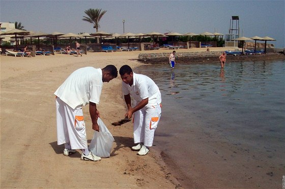 Egypané istí zanesenou plá nedaleko Hurghady (20. ervna 2010)