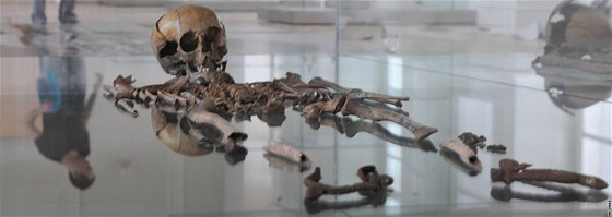 Úpravy archeologické expozice v zámeku Pohansko