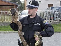 Specialista na odchyt had, strnk kladensk mstsk policie Ji Paez. 