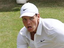 Tom Berdych