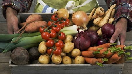 Organicky pstovaná zelenina dostává nálepku bio, protoe se pstuje bez pouití umlých hnojiv, herbicid a pesticid