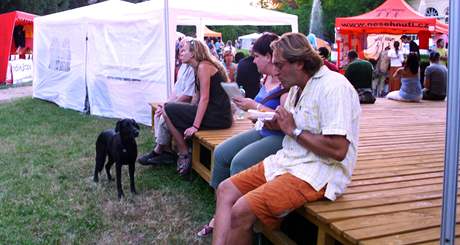 Nvtvnci festivalu Boskovice 2010