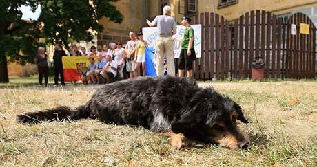 Moravsk Krumlov - protest proti odvozu plten Muchovy Slovansk epopeje do Prahy v den posledn prohldky.