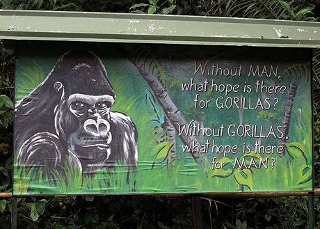 Goril billboard