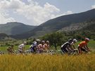 Peloton na trati 11. etapy Tour de France.