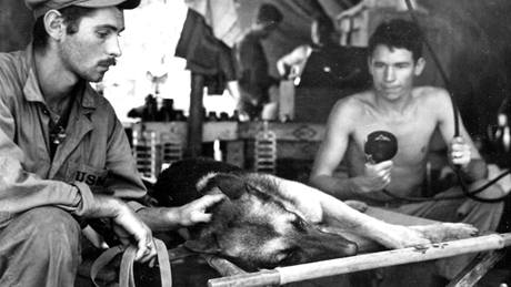 Amerití vojáci v Pacifiku se pokouí zachránit vláka, kterého postelil japonský sniper