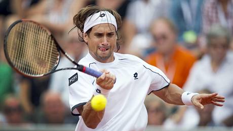 David Ferrer